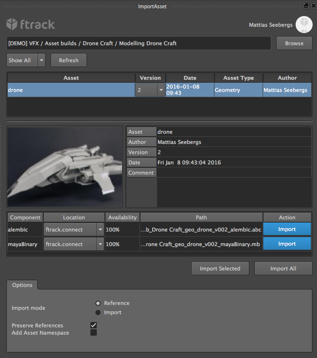 ../_images/maya_import_panel.png